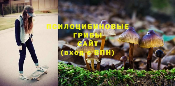 таблы Корсаков