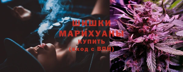 spice Кодинск