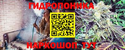 эйфоретик Бугуруслан