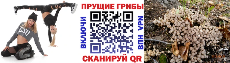 Галлюциногенные грибы мицелий  MEGA tor  Фрязино 
