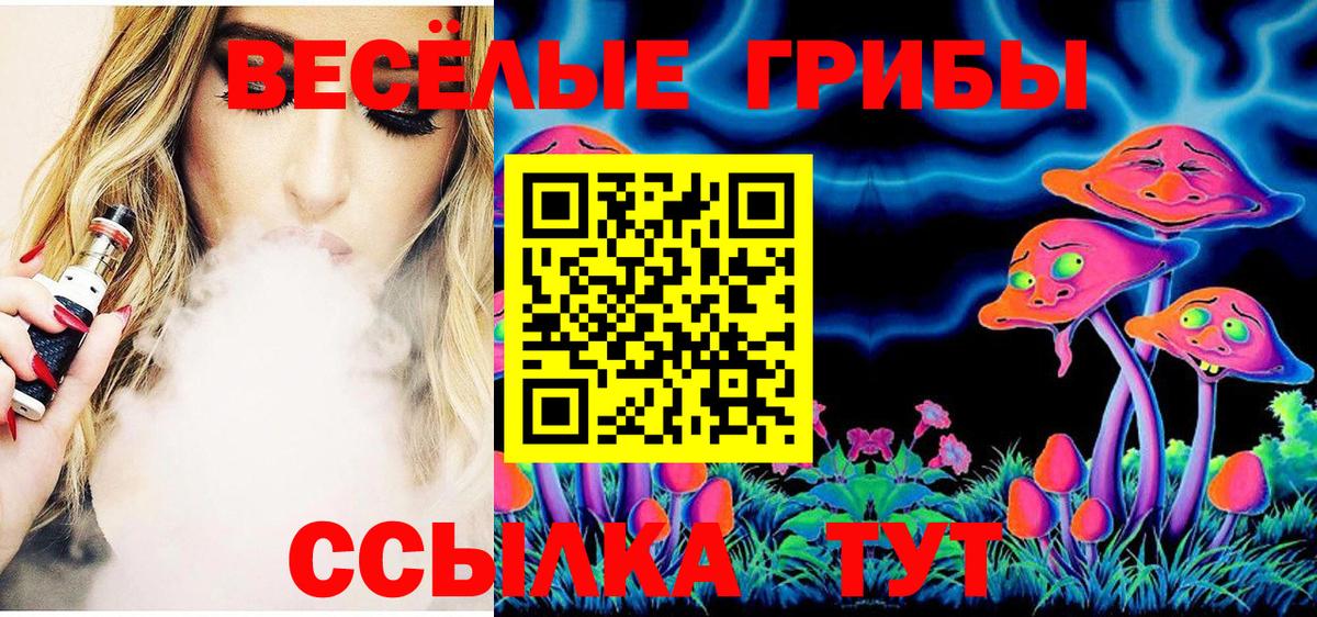 Фрязино  Галлюциногенные грибы Magic Shrooms  Вход с VPN 